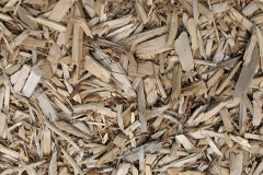 biomass boilers Fasag