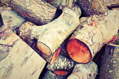 Fasag wood burning boiler costs